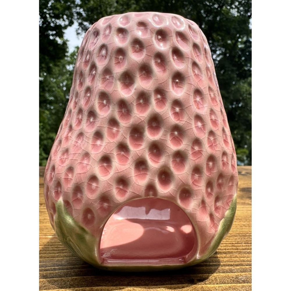 Strawberry Ceramic Hamster Gerbil Water Bottle Holder Hideout‎ House 5" Or